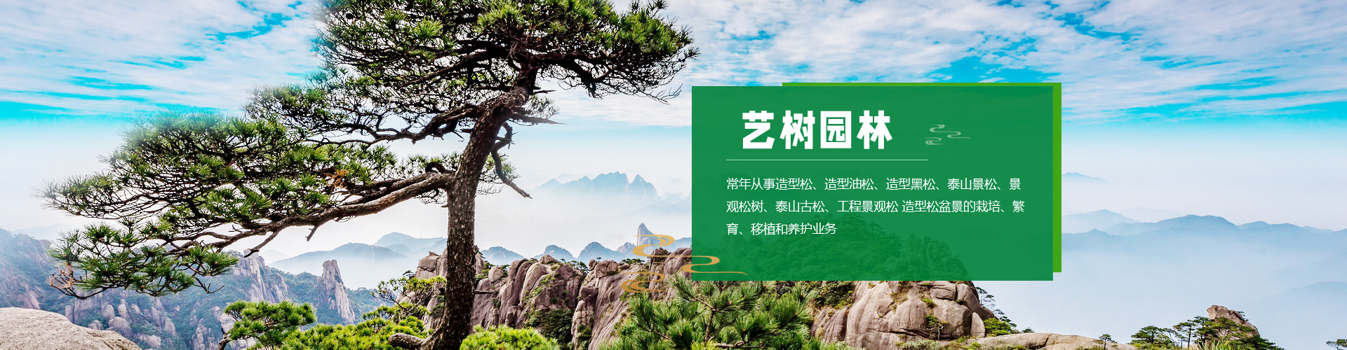 山東省萊蕪泰岳冶金機(jī)械有限公司